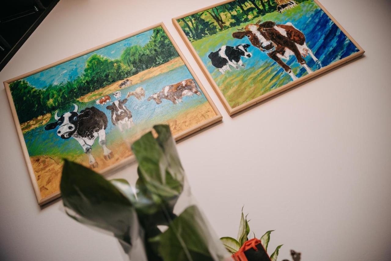 Apartament Mazagran Zamość 外观 照片